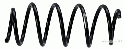 Spiralfjäder Sachs 998929 4013872772759