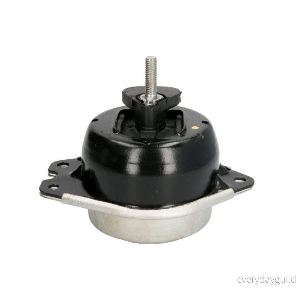 SASIC Motorupphängning - 4001832 3660872361226