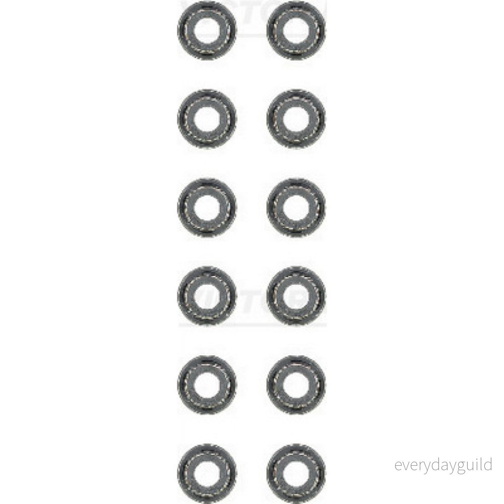 REINZ 12 52748 03 Jeu de joints d'étanchéité, tige soupape NISSAN: Patrol GR 4 SUV, 5 3/2 SUV 4026634291351