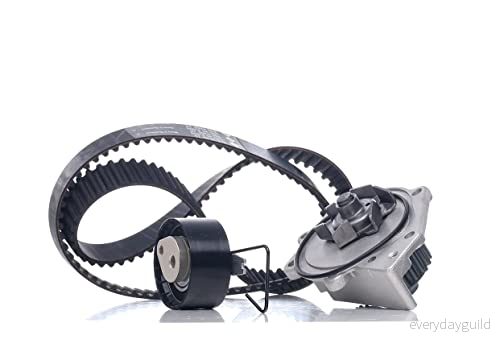 INA Vattenpump + Kuggremssats 530 0376 30 4005108955401