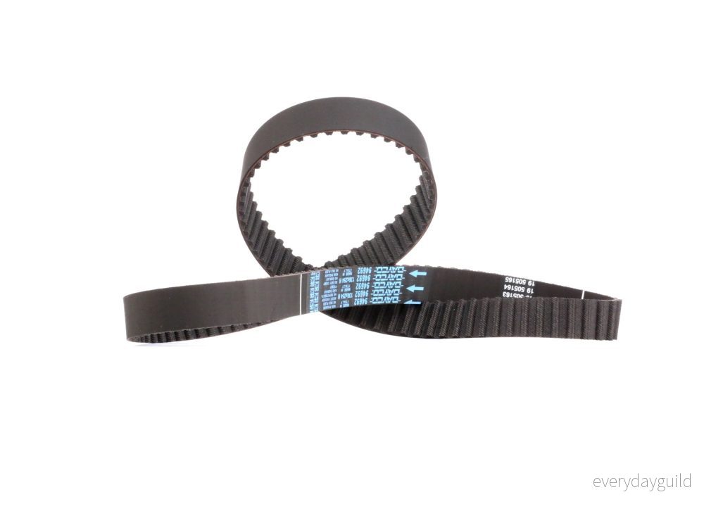 Kuggrem DAYCO 94692